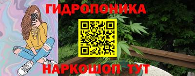 винт Дубна