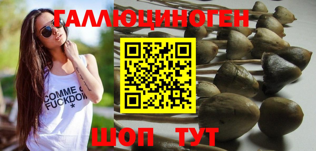 Лыткарино  Галлюциногенные грибы GOLDEN TEACHER  Псилоцибиновые грибы Magic Shrooms  Вход с VPN 
